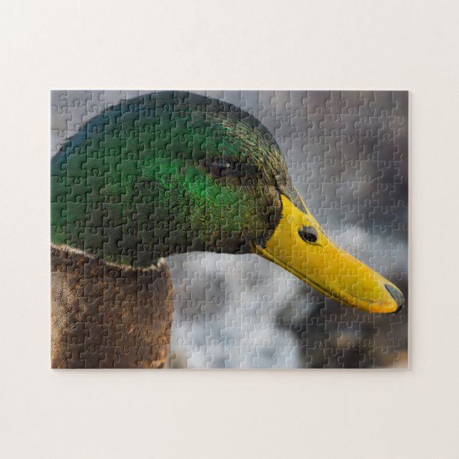Puzzle Retrato masculino mallard (Horizontal)