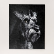 Retrato monocromo de Schnauzer