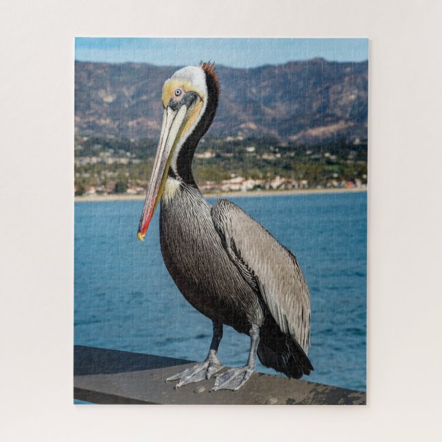 Puzzle Retrato Pelicano de California Brown (Vertical)