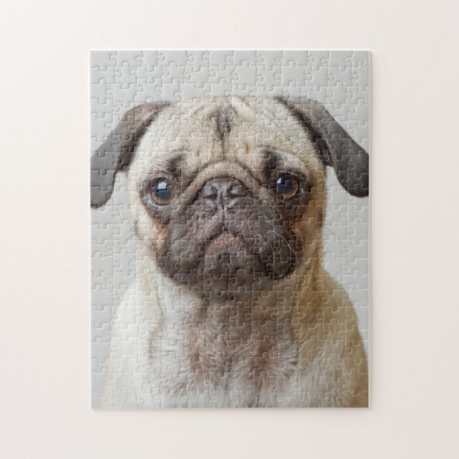 Puzzle Retrato Pug (Vertical)