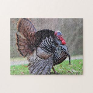 Puzzle Retrato salvaje del pavo
