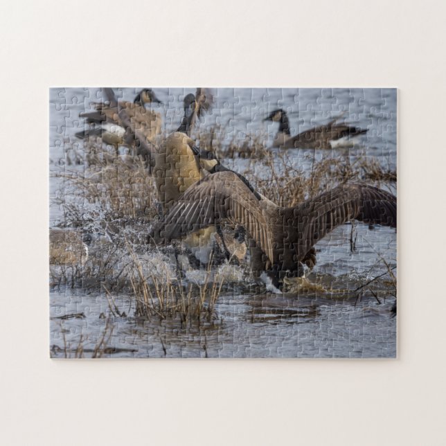 Puzzle Retrocede (Horizontal)