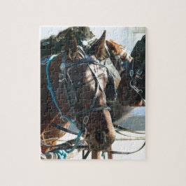 Puzzle Reunión en el ayuntamiento Caballos Amish Buggy