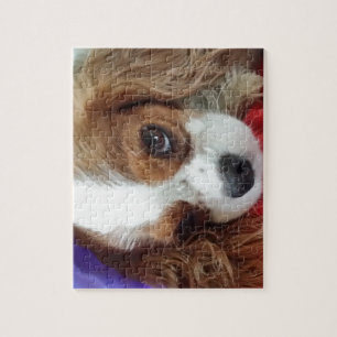 Puzzle Rey arrogante Charles Pretty