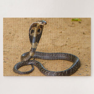 Puzzle Rey Cobra