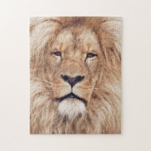 Rey de África de León Masculino Adulto