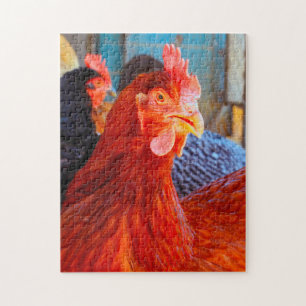 Puzzle Rhode Island Rooster.