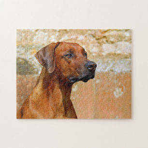 Puzzle Rhodesia: Perro rebotando ojos