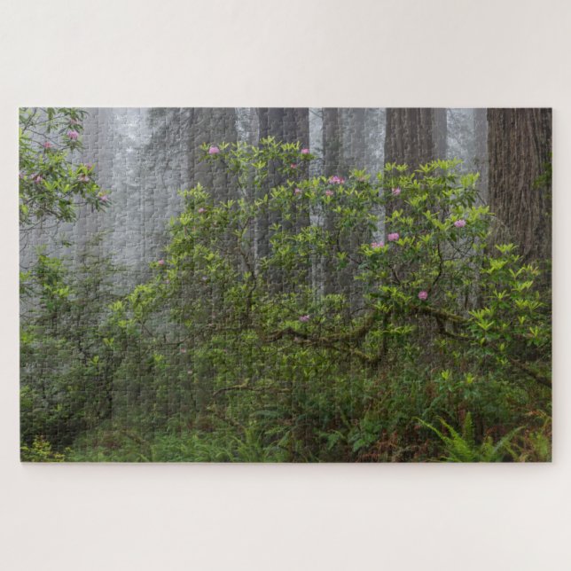 Puzzle Rhododendron en el Parque Nacional Redwood en Cali (Horizontal)