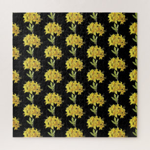 Puzzle Rhododendron luteum (Azalea póntica)