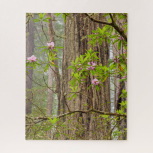 Puzzle Rhododendrons en flor Parque Estatal Redwoods, C