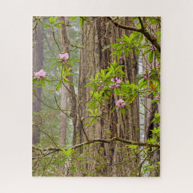 Puzzle Rhododendros en flor | Parque estatal Redwoods, CA (Vertical)