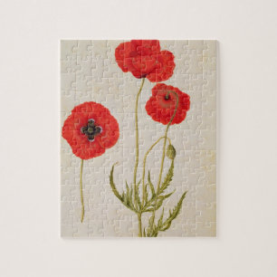 Puzzle Rhoeas de Papavar, c.1568