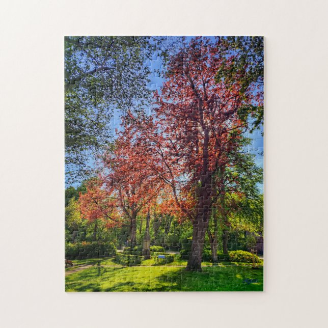 Puzzle “Rincón de luz – Einbeck en primavera” (Vertical)