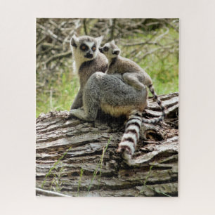 PUZZLE RING-TAILED LEMUR