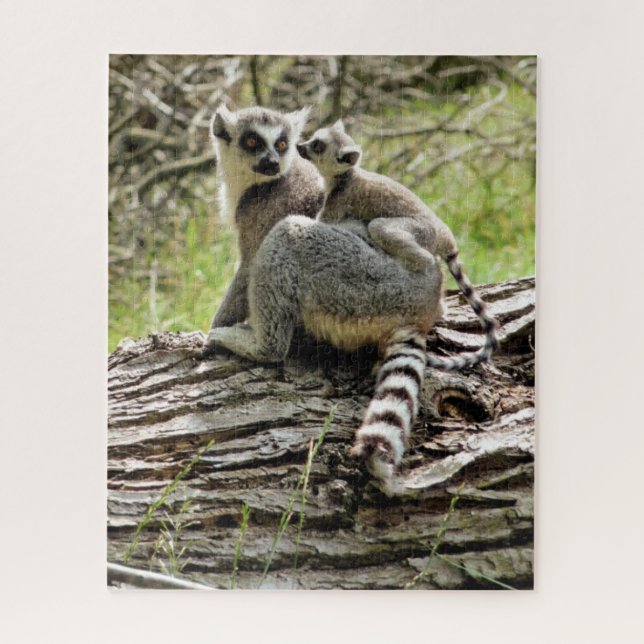 PUZZLE RING-TAILED LEMUR  (Vertical)