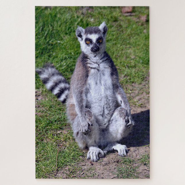 Puzzle Ring-tailed lemur seating on grass postcard T-Shir (Vertical)