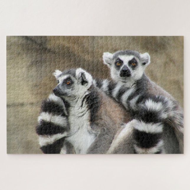 Puzzle ring tailed lemurs (Horizontal)