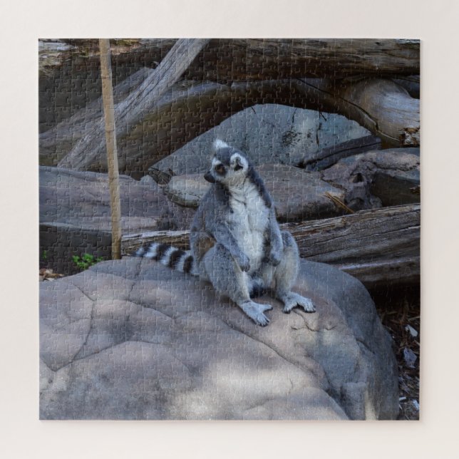 Puzzle Ringtail Possum Foreman En El Trabajo, (Vertical)