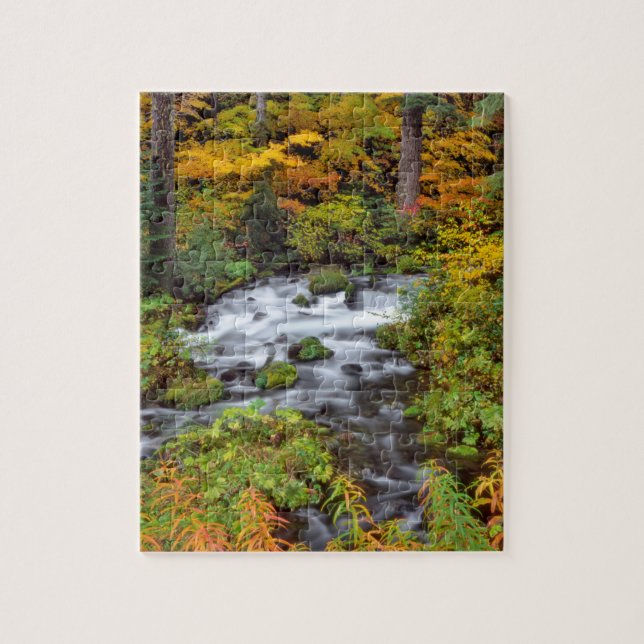 Puzzle Río a través del bosque, otoño, Oregón (Vertical)