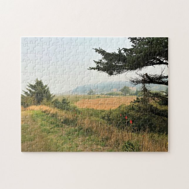 Puzzle River Trail at Cape Blanco, Oregon Coast (Horizontal)