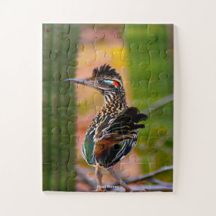 Puzzle Road Runner