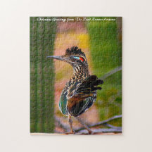 Road Runner Arizona. Felicitaciones de Navidad