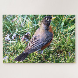 Puzzle Robin en Grass