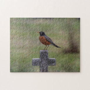 Puzzle Robin en una cruz