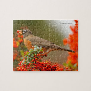 Puzzle Robin estadounidense con una Pyracantha Pomme
