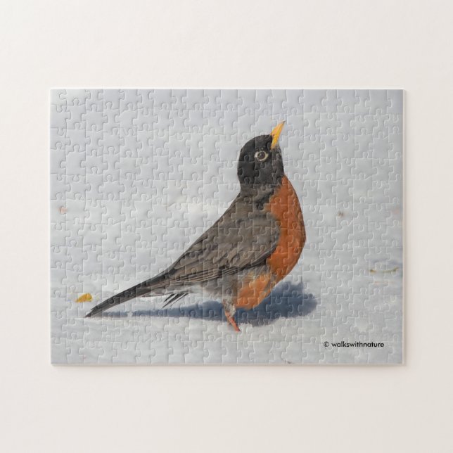 Puzzle Robin estadounidense en la nieve (Horizontal)