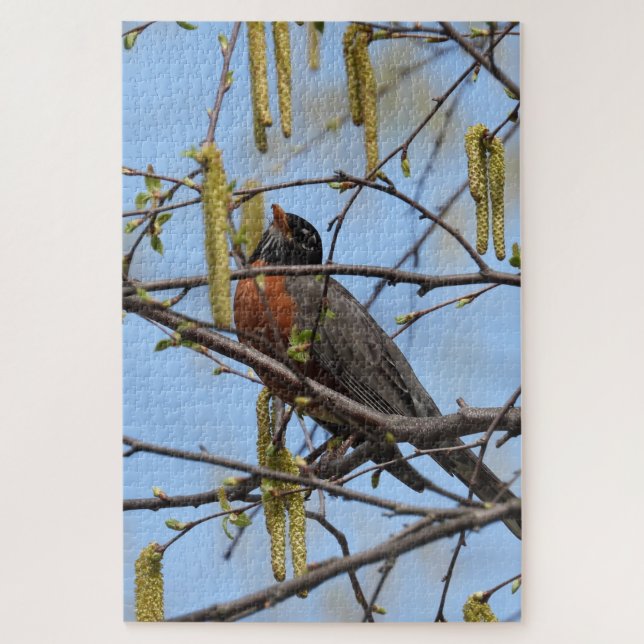 Puzzle Robin estadounidense encaramado en una rama con ca (Vertical)