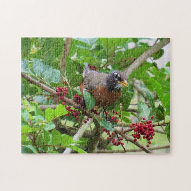 Puzzle Robin estadounidense - Serie de aves traseras - Ro (Horizontal)