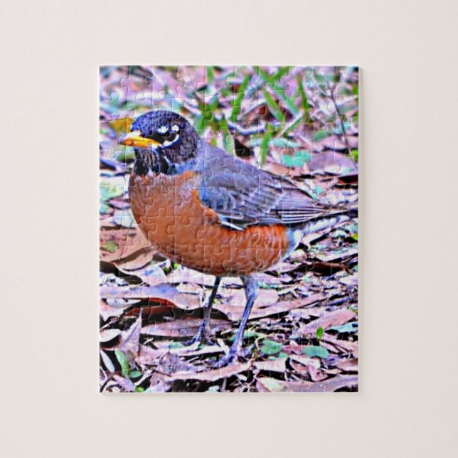 Puzzle Robin (Robin estadounidense) (Vertical)