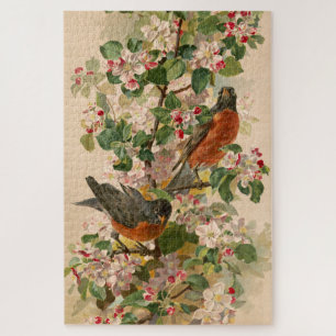 Puzzle Robins 1896