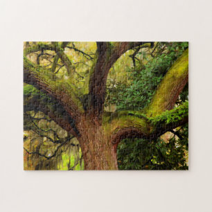 Puzzle Roble