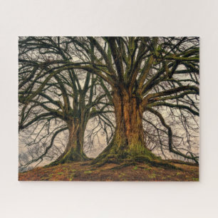 Puzzle Roble viejo en invierno