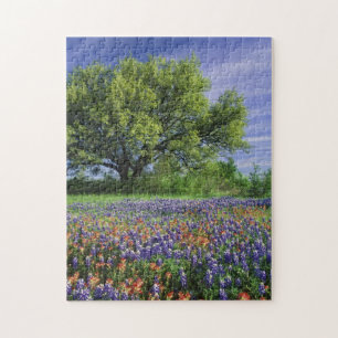 Puzzle Roble Vivo y Pincel de Texas, y Texas