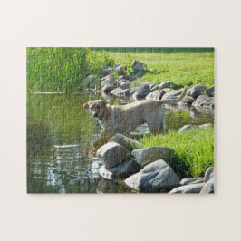 Puzzle Rocas del lago labrador Retriever