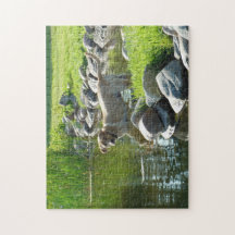 Rocas del lago labrador Retriever