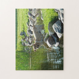 Puzzle Rocas del lago labrador Retriever