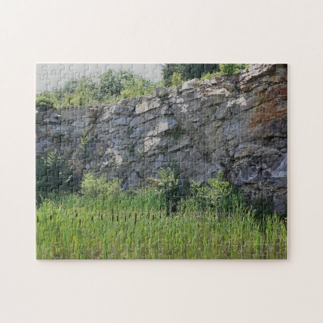 Puzzle Rock Cliff Wall captura la naturaleza del estanque (Horizontal)