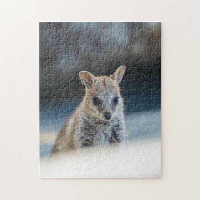 Puzzle Rock Wallaby Joey Portrait – Australian Wildlife  (Vertical)