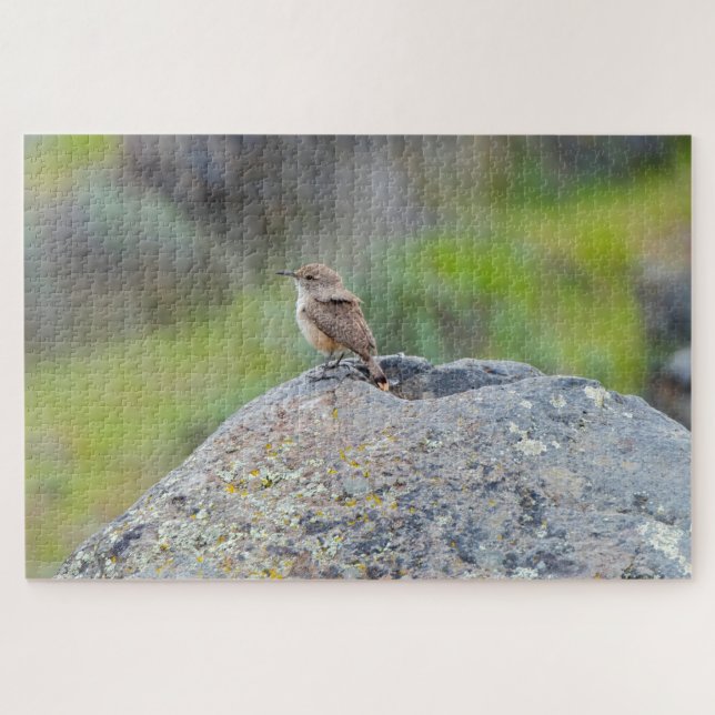 Puzzle Rock Wren (Horizontal)