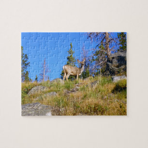 Puzzle Rocky Mountain Deer