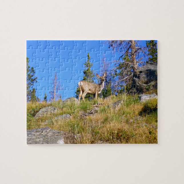 Puzzle Rocky Mountain Deer (Horizontal)