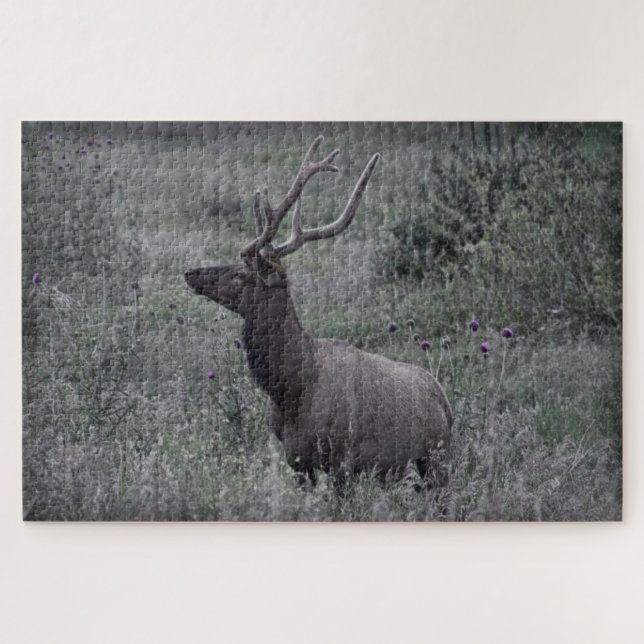 Puzzle Rocky Mountain Elk - RMNP - 20x30 - 1014 pcs (Horizontal)