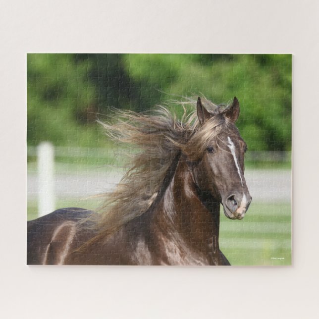Puzzle Rocky Mountain Horse Stallion Headshot (Horizontal)