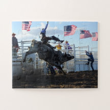Rodeo Bull Rider