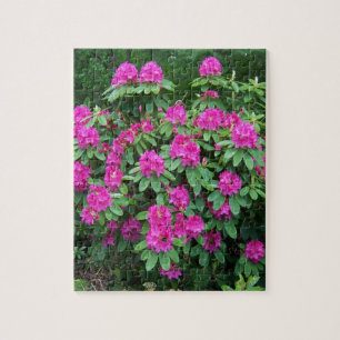Puzzle Rododendro del bosque